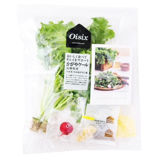 Kit]たっぷりケールのチーズナッツサラダ|有機野菜 通販 Oisix