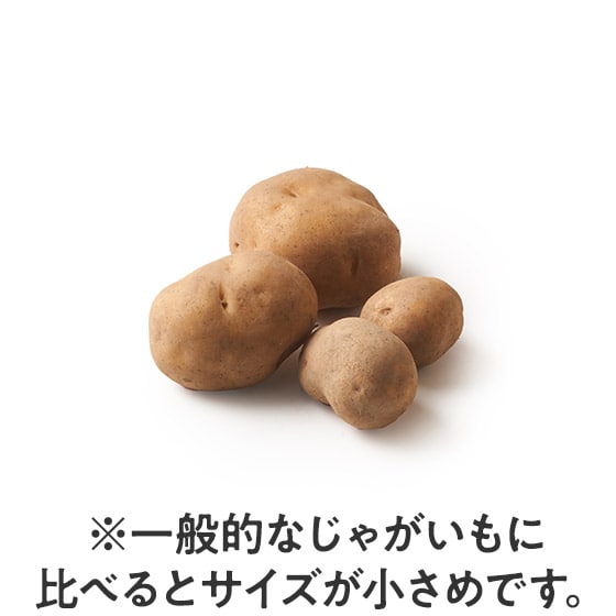 [�����߂��p]�I���Ⴊ����(�C���J�̂߂��� �k�C���Y)