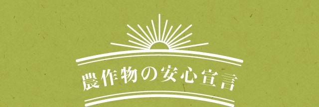 �_�앨�̈��S�錾