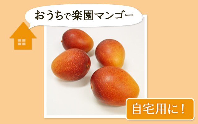 楽園マンゴー ｜ Oisix産直おとりよせ市場
