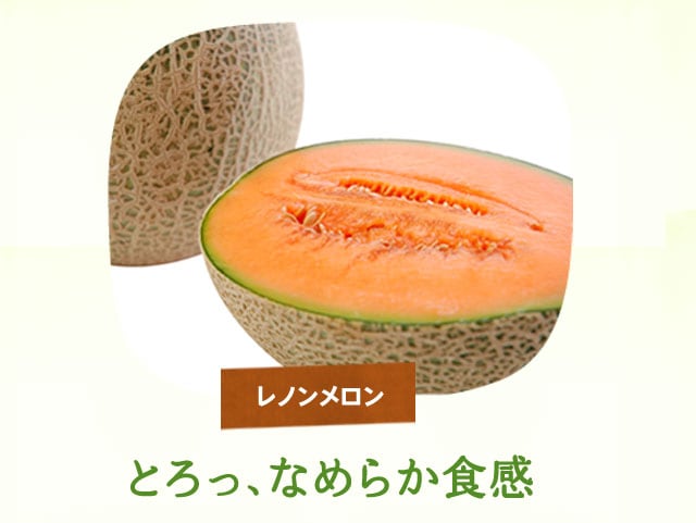 とろ～り完熟メロン｜ Oisix産直おとりよせ市場