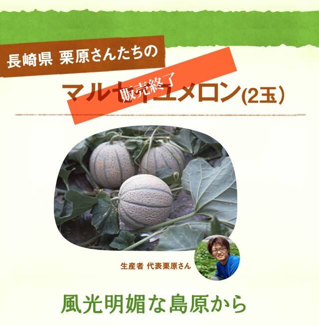 とろ～り完熟メロン｜ Oisix産直おとりよせ市場
