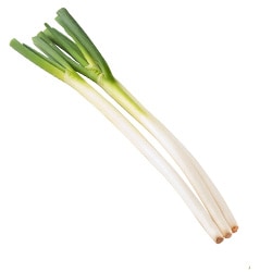 ねぎ