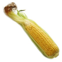 とうもろこし