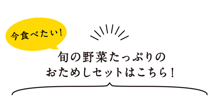 �^�C�g��