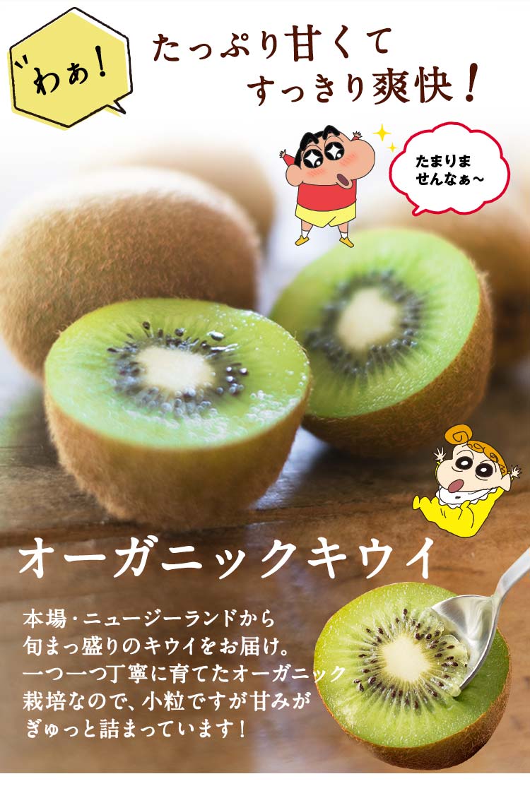 �I�[�K�j�b�N�L�E�C