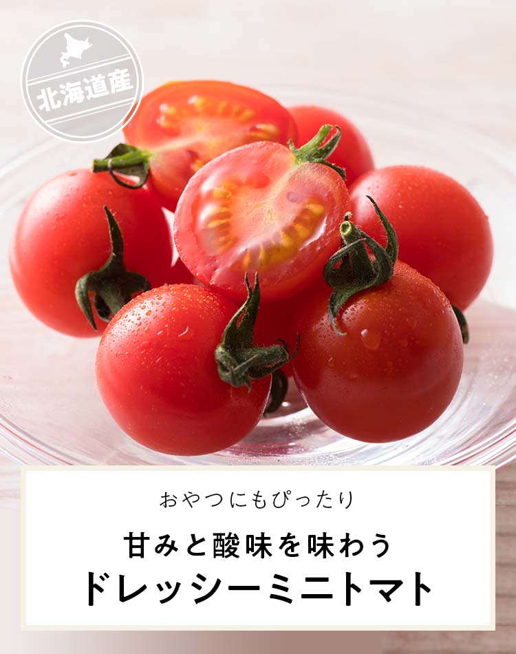 �h���b�V�[�~�j�g�}�g