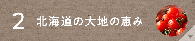 �k�C���̑�n�̌b�݂𖡂킨��
