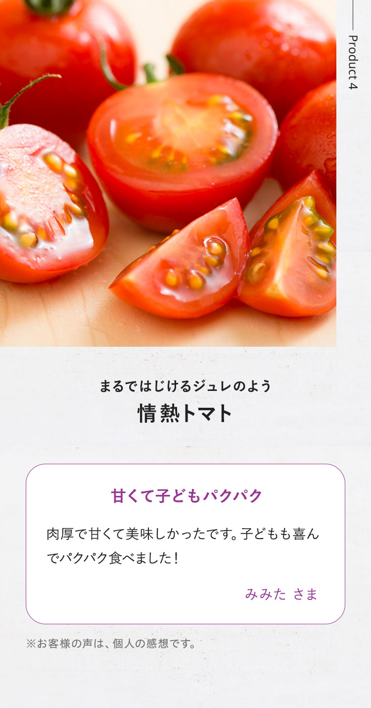 ���B�[�K���Γ畗