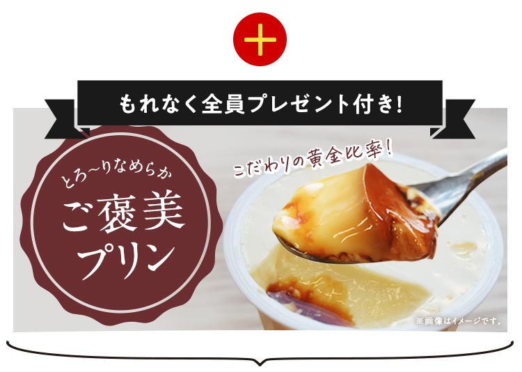 �v���� �v���[���g