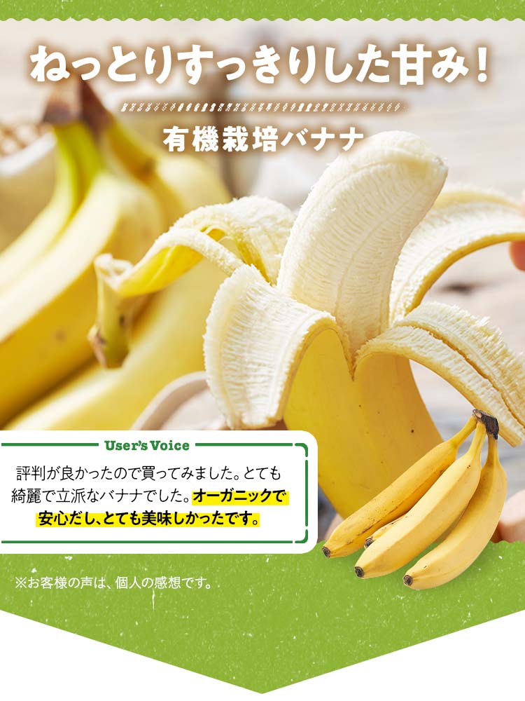 �L�@�͔|�o�i�i
