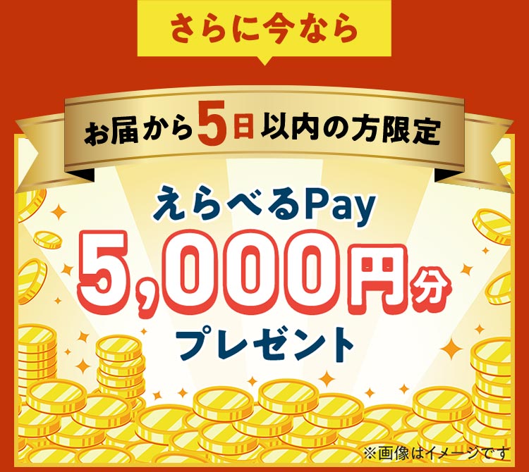 限定特典