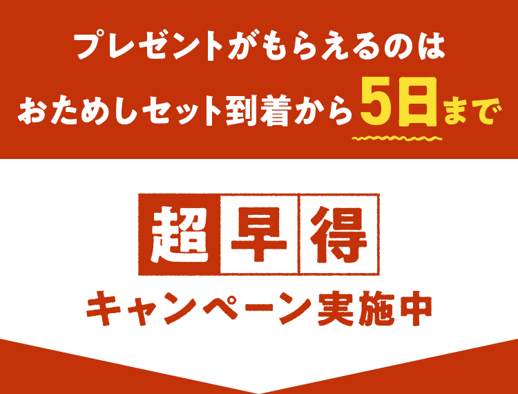 �v���[���g�����炦��̂͂����߂����͂�5���܂�