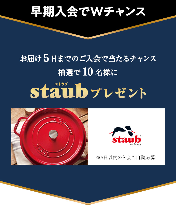 STAUB