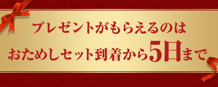 �����߂��Z�b�g���͂�5���܂Ō�����T