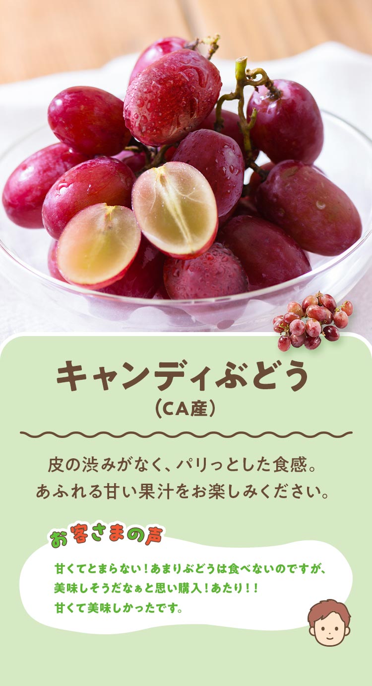 �L�����f�B�Ԃǂ�