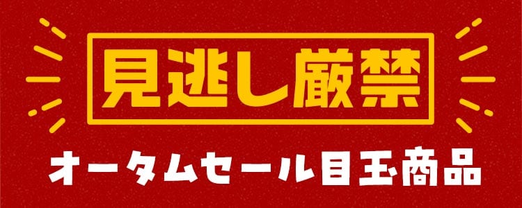 �Z�[���ڋʏ��i