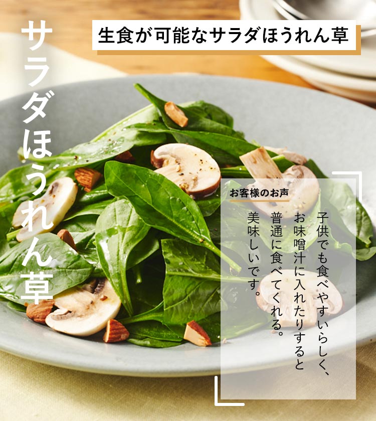 �T���_�ق����