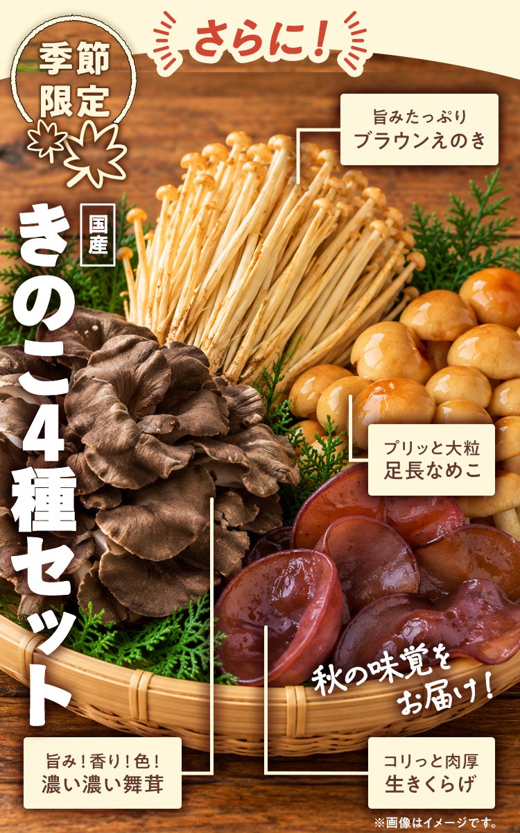 ���̂��S��Z�b�g