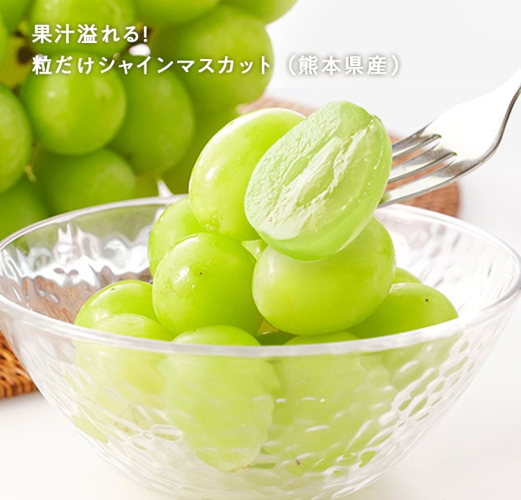ミールキット Kit Oisix お試しセット｜食材宅配 Oisix（オイシックス）