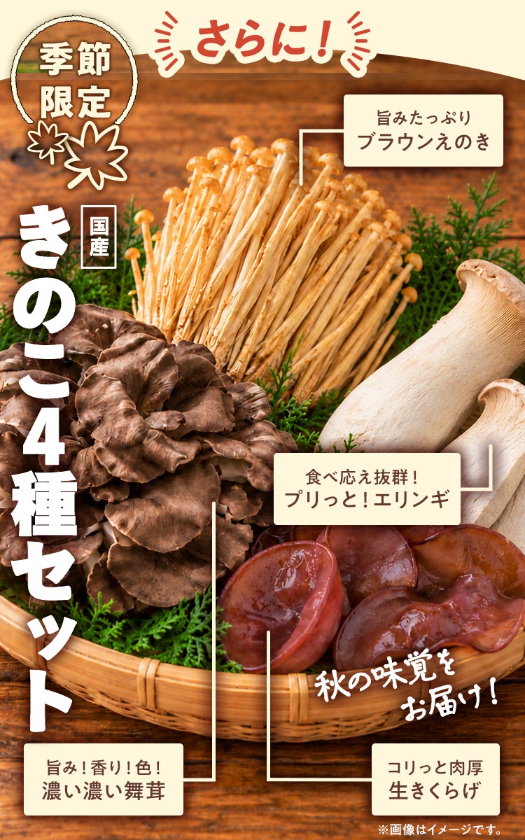 ���̂��S��Z�b�g