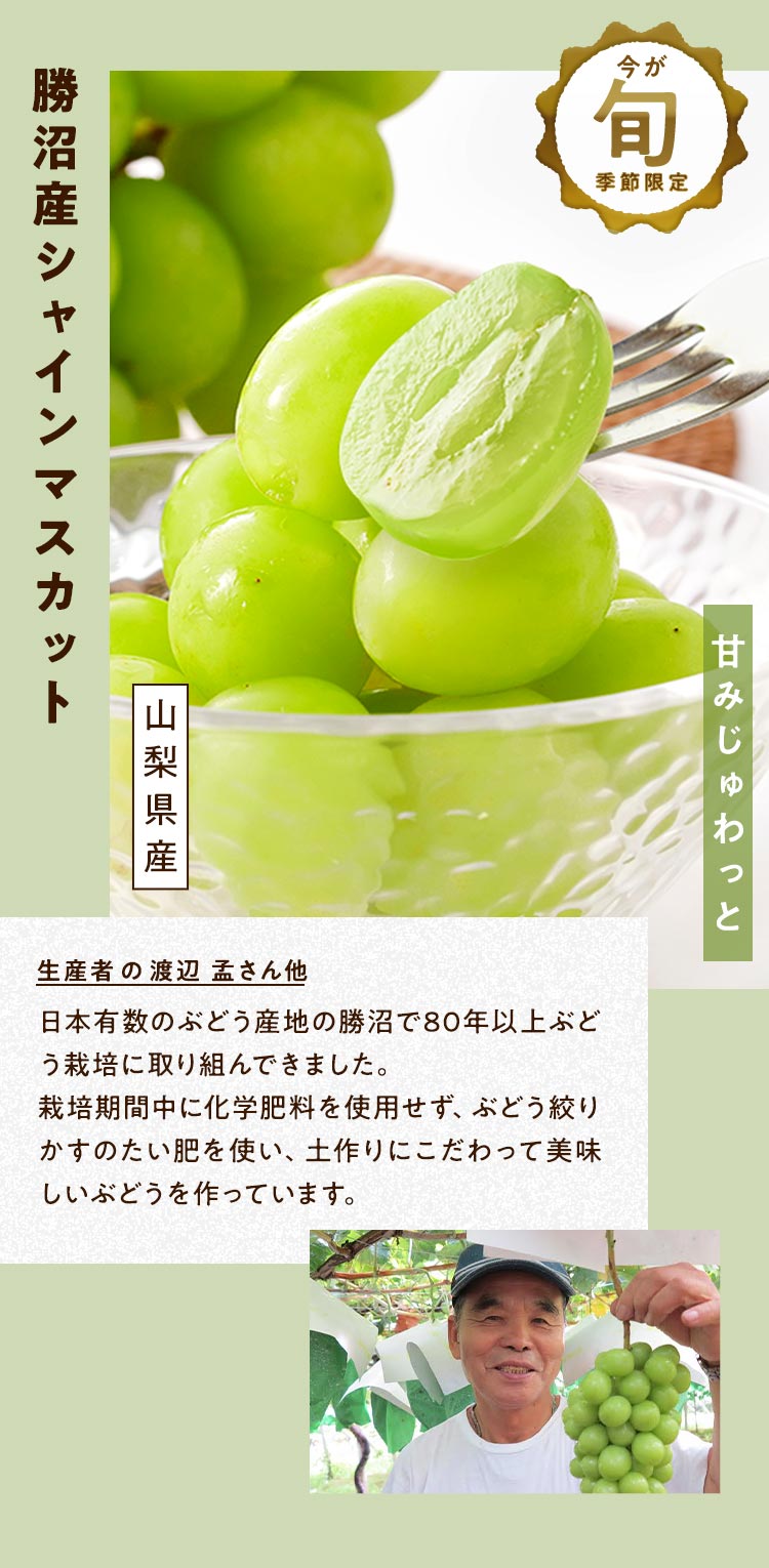 �������V���C���}�X�J�b�g