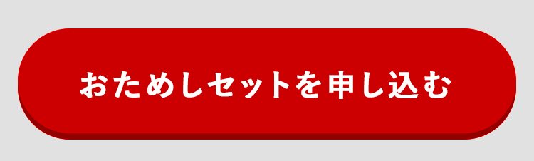 �����߂��Z�b�g�𒍕�����