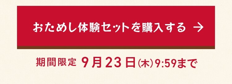 �����߂��̌��Z�b�g���w������
