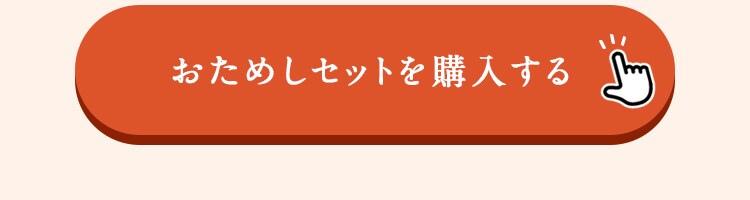 �����߂��Z�b�g���w������
