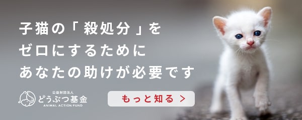 �ǂ��Ԃ��